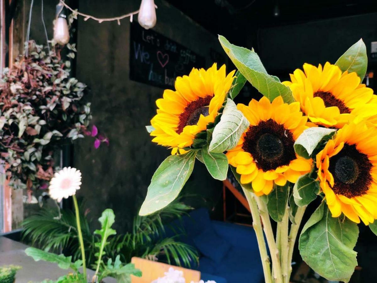 Znap'S Hostel & Cafe Chiang Mai Exterior foto